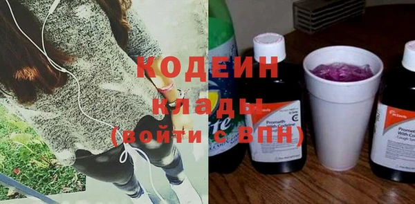 шишки Богородицк