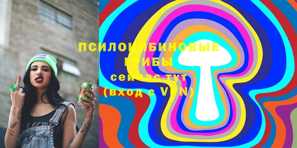 шишки Богородицк