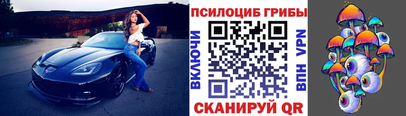 Псилоцибиновые грибы Psilocybe  omg ONION  Белово 